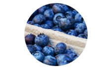 Estratto di mirtillo